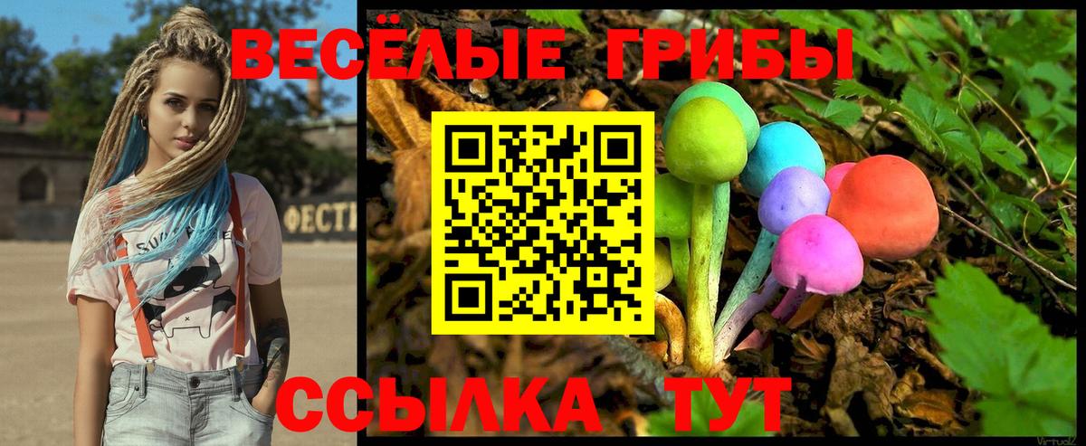 Галлюциногенные грибы ЛСД  Вход с VPN  Зеленодольск 